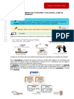 Ficha 2 Ciencia y Tecnologia 2 ¿Como Se Mueven Los Cuerp Trimestre 1