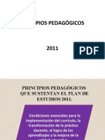 Principios Pedagógicos 2011