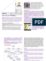 Lenguaje 6º Guía 3 - Periodo IV