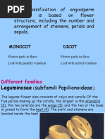 4 Flower of Different Families