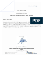 F - 4. Comite Paritario