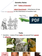 Genetics Notes: Independent Assortment No Effect Father of Genetics