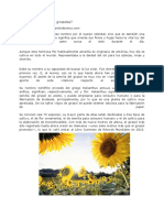 Articulo de Girasoles