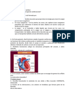 Cuestionario de Músculo Cardiaco