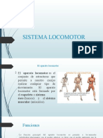 Sistema Locomotor FG