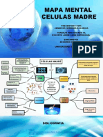 MAPA MENTAL CELULAS MADRE - pptx22