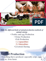 Animal Production