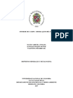 Informe de Campo - Depósitos Minerales