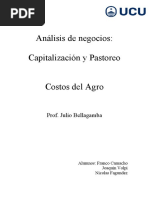 Capitalizacion PDF