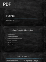 Exposición de Vibrio