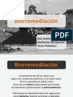 Biorremediación