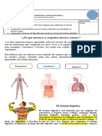 Guia Sist Digestivo