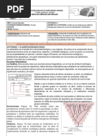 TAXONOMIA Actividad 4