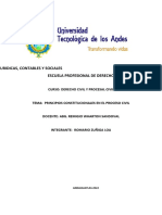 Principios Constitucionales en El Proceso Civil