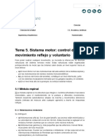 G367 - Tema 5. Sistema Motor - Control Del Movimiento Reflejo y Voluntario