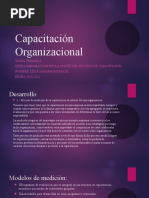 Capacitación - Organizacional Semana 8 - Lidia Sarabia