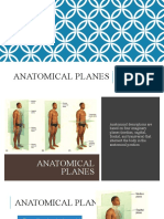 Anatomical Planes: MD Valeria de La Peña Gutierrez