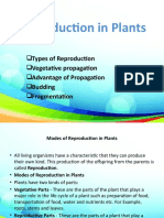 Reproduction in Plants PPT1