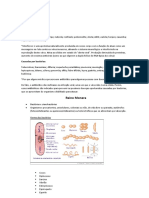 Reino Monera e Protista + Doenças Virais e Bacterianas