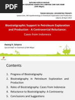 Biostratigraphic Support in Petroleum Ex