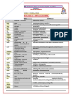 Ficha 11 Raíces Latina 1ro de Sec. 2022