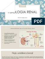 Fisiologia Renal