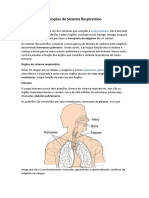 Funções Do Sistema Respiratório