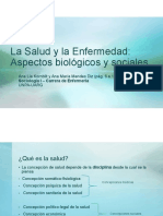 Unidad 3 - 2 - PPT Kornblit y Mendes Diz Ana El Proceso Salud Enfermedad - Parte 1 A PDF