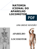 Aparelho Locomotor Simples