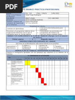 Anexo 2 - Formato de Avance2