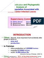 And Phylogenetic Analysis of Bacterial Population Associated With Citrus Canker Infected Leaves