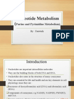 Metabolism of Purine and Pyrimidine