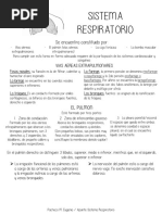 Apt - Sistema Respiratorio