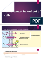 Movement in and Out of Cells