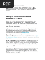 Qué Es La Contaminación Del Agua Resumen