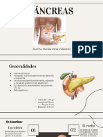 Exposicion Pancreas