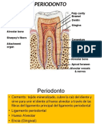 Cemento