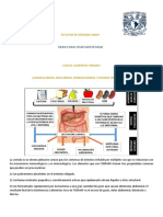 Guia de Fodmaps-Facmed