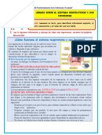 Sistema Respiratorio y Sus Funciones Sexto Grado