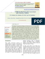 Biology of Pearl Millet Ear Head Worm, Helicoverpa Armigera