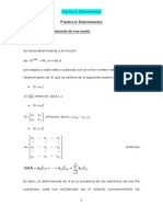 Práctico - Determinantes