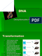 Deoxyribonucleic Acid