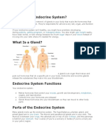 What Is The Endocrine System