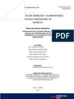 Guía de Elaboración - Informe Estadístico