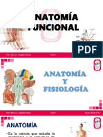 Anatomía y Fisiología