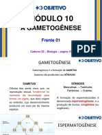 F1 Mod 10 Gametogenese