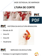 Palestra Introducao - Avicultura de Corte