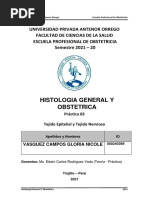 GUIA - PRACTICA 02 - Vasquez Campos - 270921