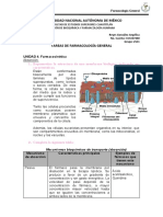 Tarea FG Absorción