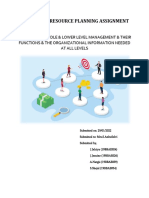 Enterprise Resource Planning Assignment: Topic: Top, Middle & Lower Level Management & Their